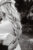 hanging_on_reduced